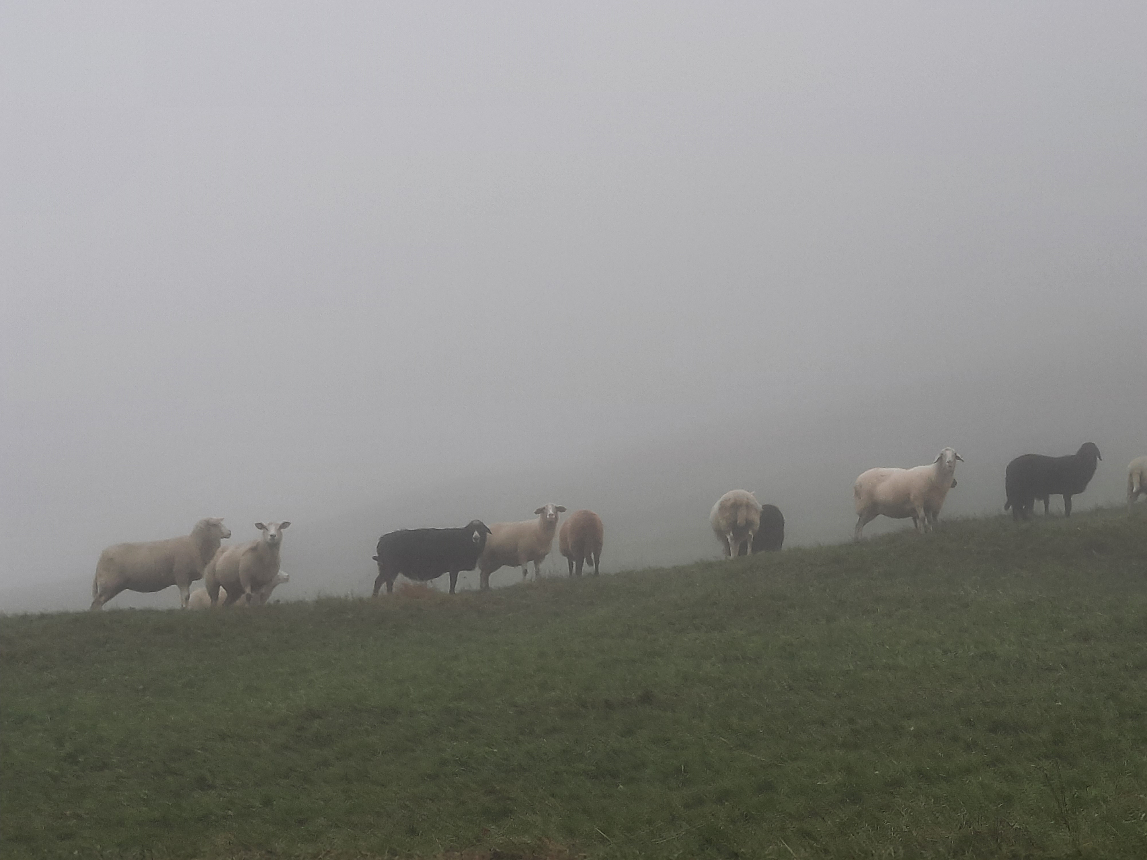 Der Herbst ist da...